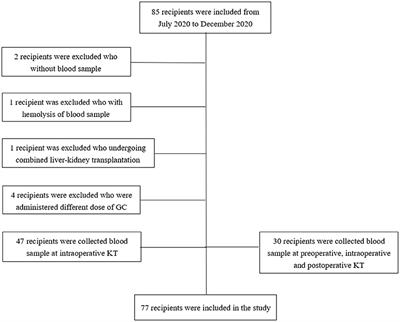 Plasma Macrophage Migration Inhibitory Factor Predicts Graft Function Following Kidney Transplantation: A Prospective Cohort Study